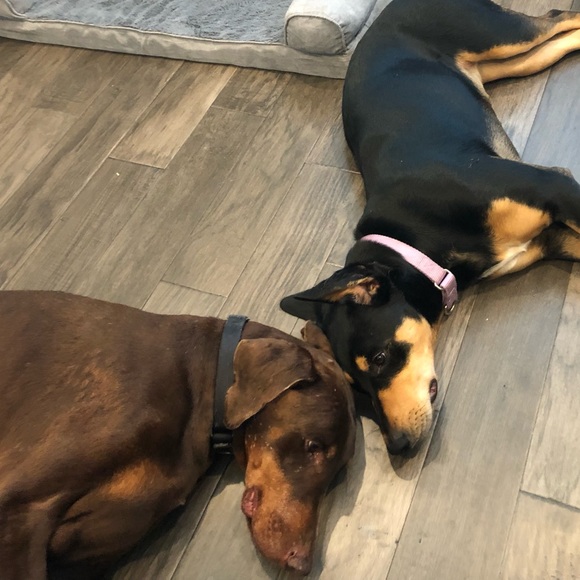 Meet your Posher, Gayle - Picture 2 of 11